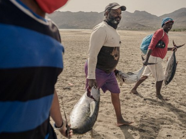 IPNLF release their Position Statement on catch allocation for bigeye tuna