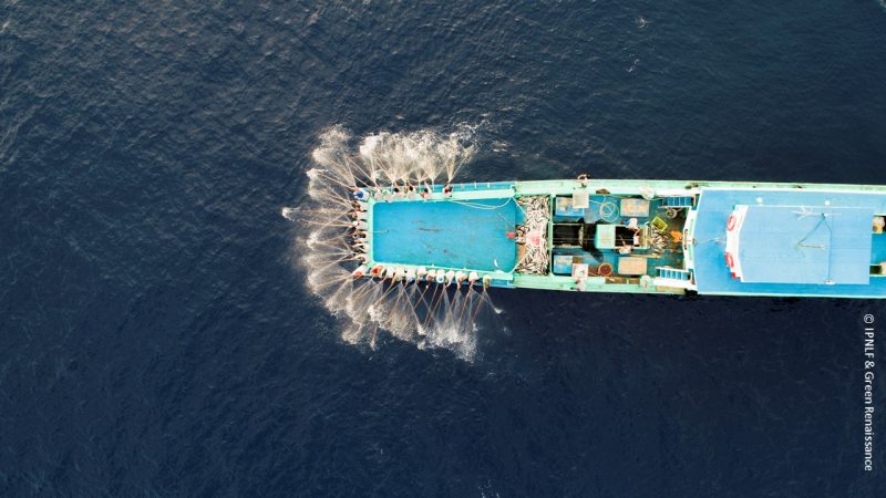 Rebuilding back tuna fisheries better in a post-covid world