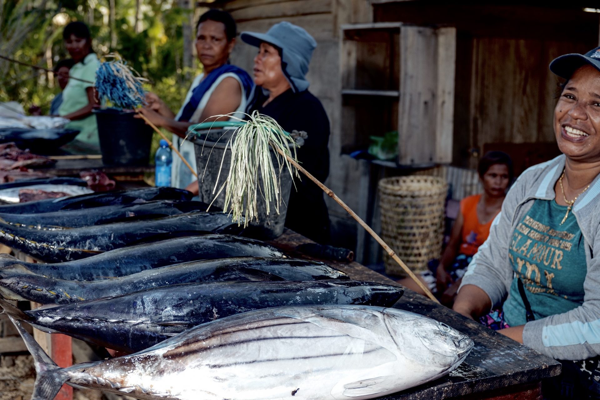 Talaud Handline yellowfin tuna  Sourcing Transparency Platform