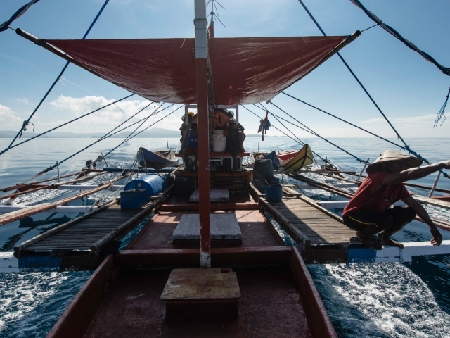 IPNLF Statement on WCPFC18 Annual Meeting