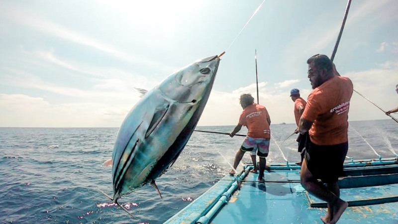 Fisheries Information System officially launched for one-by-one tuna fisheries in the Maldives