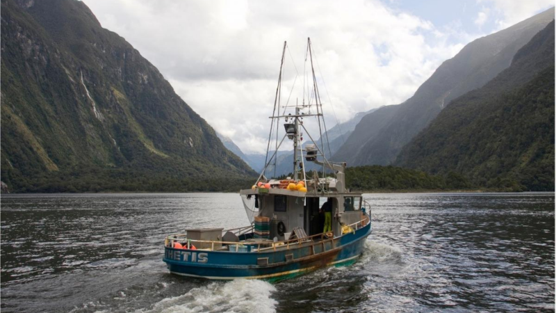Fishery showcase: New Zealand