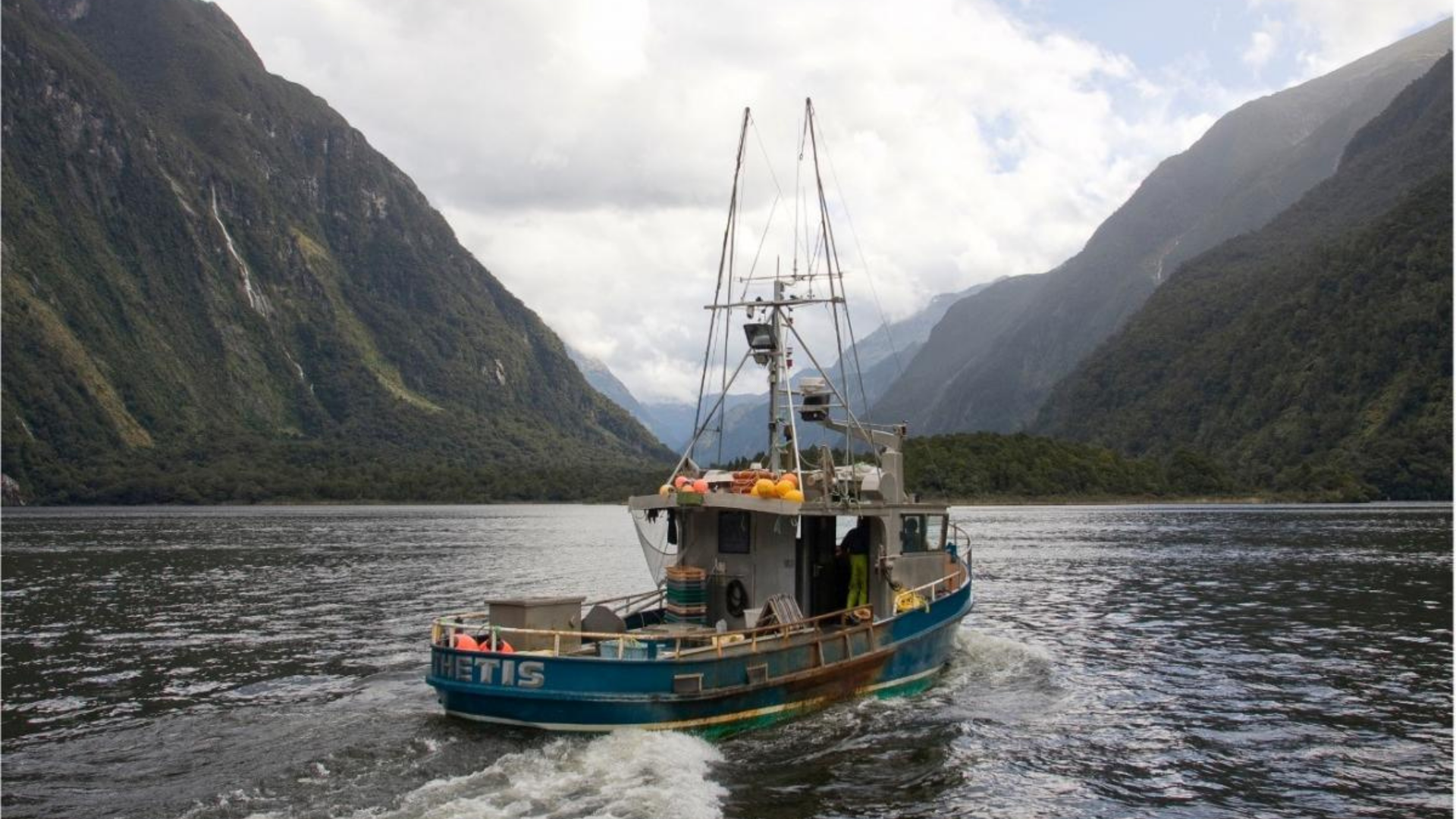 Fishery showcase: New Zealand