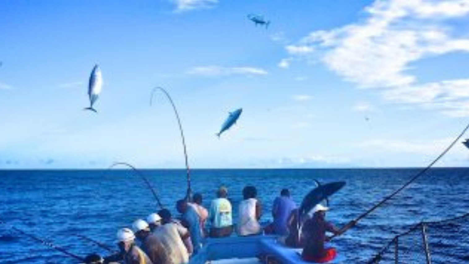 Is the PNA objection ruling fair to small-scale fisheries or good for conservation?