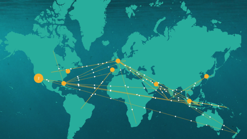 IPNLF launches it’s Sourcing Transparency Platform (STP) to drive greater transparency in tuna supply chains