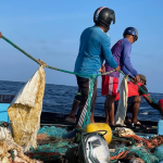 Turning The Tide on Ocean Plastic Pollution in the Maldives