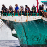 Fish Tales and IPNLF sign 3-year MoU to implement and maintain Indonesia’s first and only pole-and-line Fair Trade certified fishery in Bitung