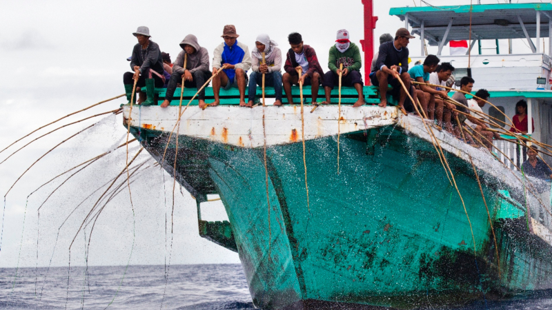 Fish Tales and IPNLF sign 3-year MoU to implement and maintain Indonesia’s first and only pole-and-line Fair Trade certified fishery in Bitung