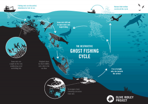 Testing Biodegradable Fishing Gear Around the World  NEW Infographics &  Video - International Seafood Sustainability Foundation