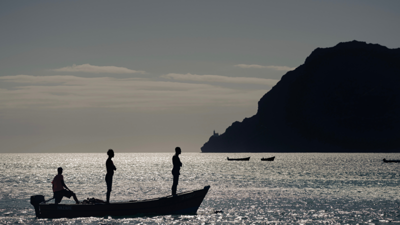 ICCAT Panel 1 – what’s next for Atlantic tropical tunas?