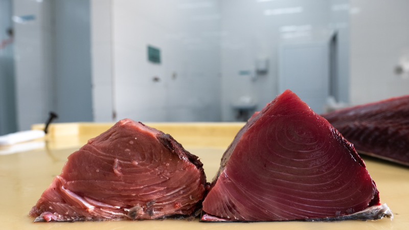 IPNLF, Seafood Souq, and Omani fishers demonstrate a new global source of Sashimi Grade Yellowfin Tuna