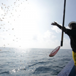 Unlocking a huge potential for ocean conservation and climate change: IPNLF- Maldives and SNtech’s Innovation seeks to limit wild caught bait fish in pole-and-line tuna fishing