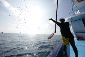 Unlocking a huge potential for ocean conservation and climate