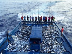 Unlocking a huge potential for ocean conservation and climate change:  IPNLF- Maldives and SNtech's Innovation seeks to limit wild caught bait  fish in pole-and-line tuna fishing - IPNLF