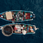 IPNLF Position Statement – Second Intersessional Meeting of ICCAT Panel 1 – Tropical tunas