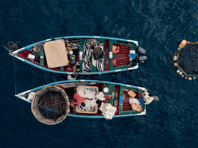 IPNLF Position Statement – Second Intersessional Meeting of ICCAT Panel 1 – Tropical tunas