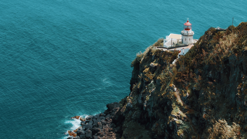 A Truly Plastic Neutral Fishery