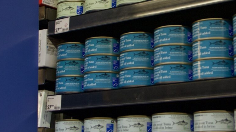 HOW CAN SEAFOOD COMPANIES MEET HUMAN RIGHTS CHALLENGES WHILST ENSURING SOCIAL EQUITY FOR SMALL-SCALE FISHERIES?