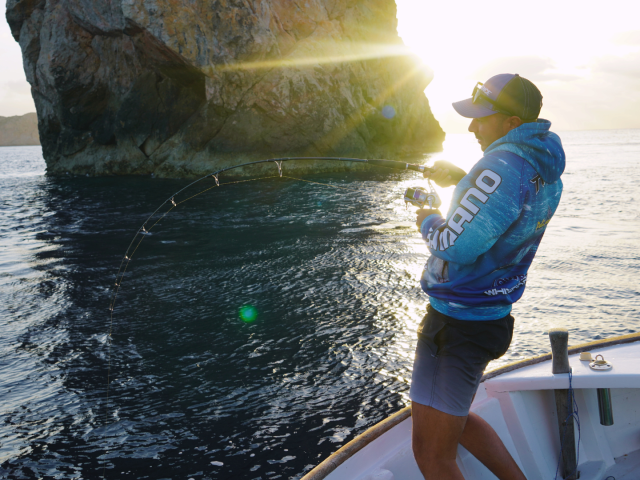 IPNLF strengthens its global one-by-one supply chain business network with five new, high profile members.