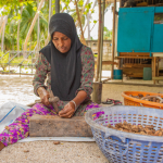 Gender Equality and Equity