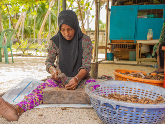Gender Equality and Equity