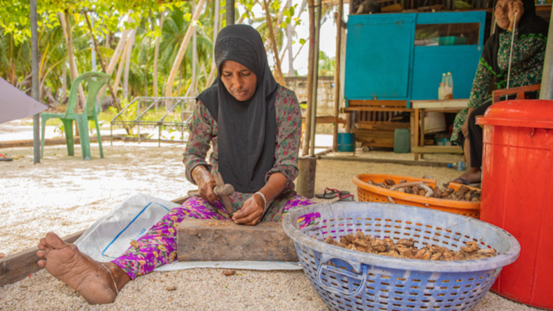 Gender Equality and Equity