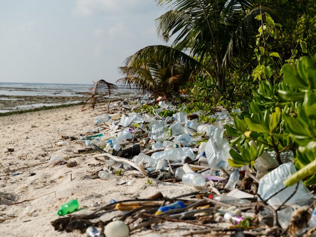 Reducing Plastics: Look Beyond the Straw