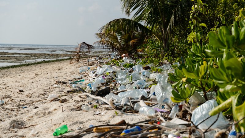 Reducing Plastics: Look Beyond the Straw