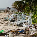 Reducing Plastics: Look Beyond the Straw