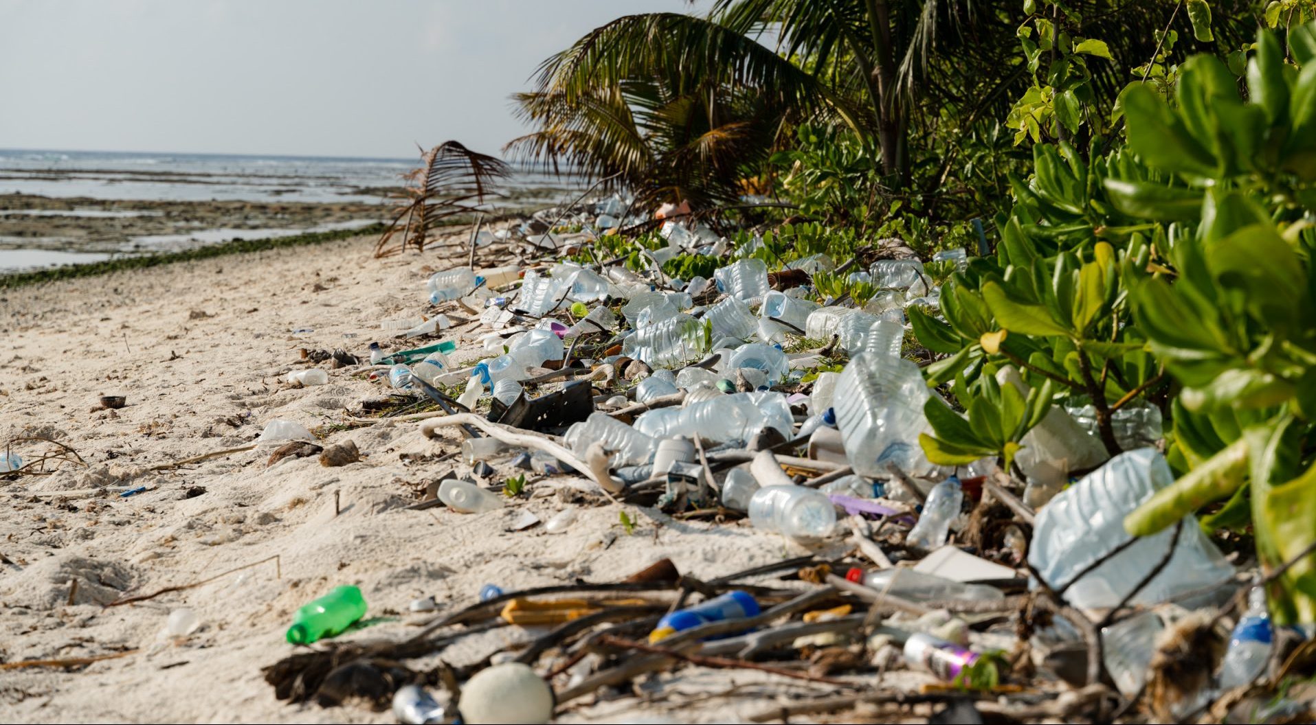 Reducing Plastics: Look Beyond the Straw