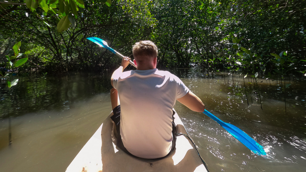 Exploring Bali’s Mangroves: A Lifeline for Marine Conservation
