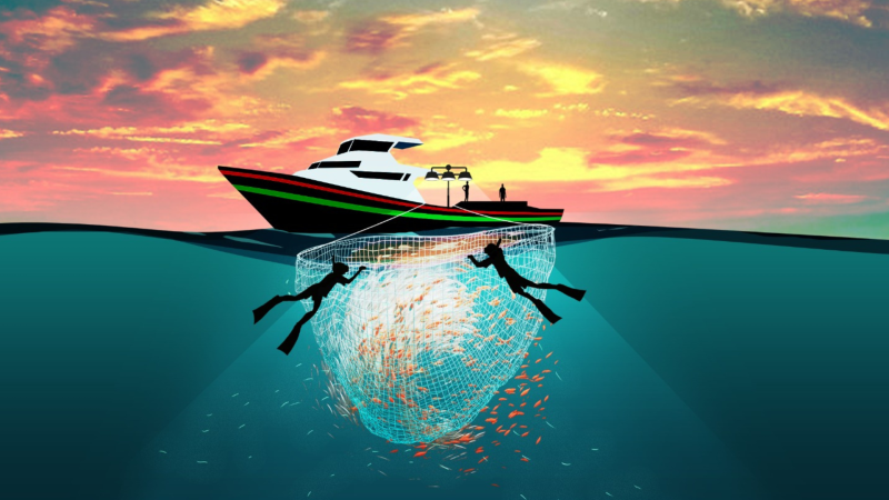 IPNLF Maldives release Tuna Livebait Best Practice Guide