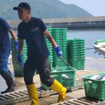 UMIGYO IN SMALL-SCALE FISHERIES IN JAPAN: HOW PROTECTING LIFE ABOVE WATER LEADS TO PROTECTING LIFE BELOW WATER