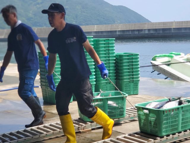 UMIGYO IN SMALL-SCALE FISHERIES IN JAPAN: HOW PROTECTING LIFE ABOVE WATER LEADS TO PROTECTING LIFE BELOW WATER