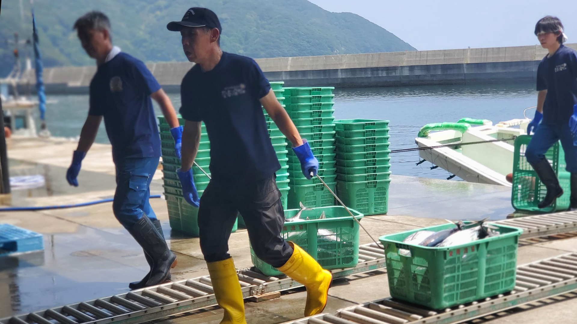 UMIGYO IN SMALL-SCALE FISHERIES IN JAPAN: HOW PROTECTING LIFE ABOVE WATER  LEADS TO PROTECTING LIFE BELOW WATER - IPNLF