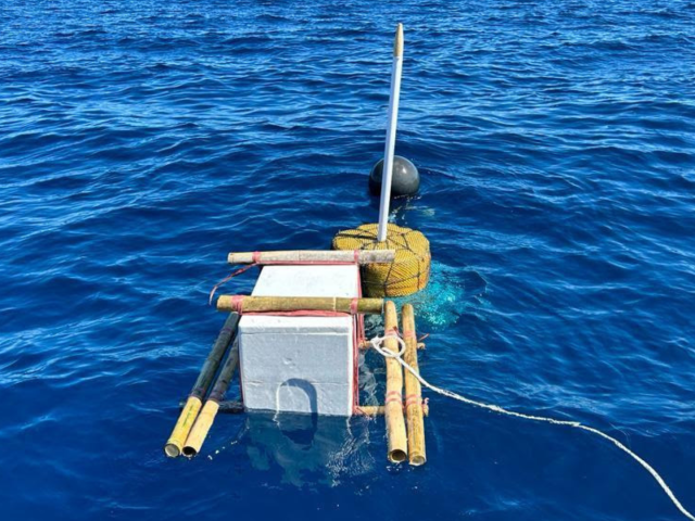 Exploring innovative alternatives for live bait in pole-and-line fisheries