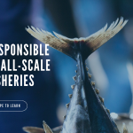 World Fisheries Day 2023