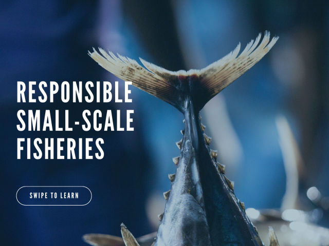 World Fisheries Day 2023