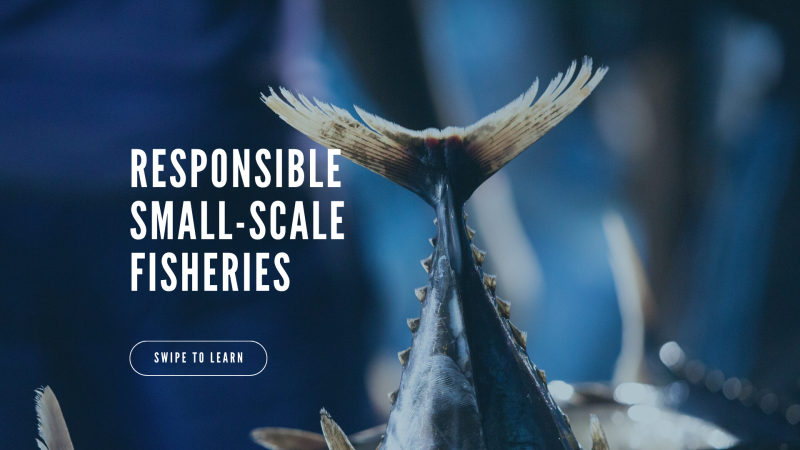 World Fisheries Day 2023