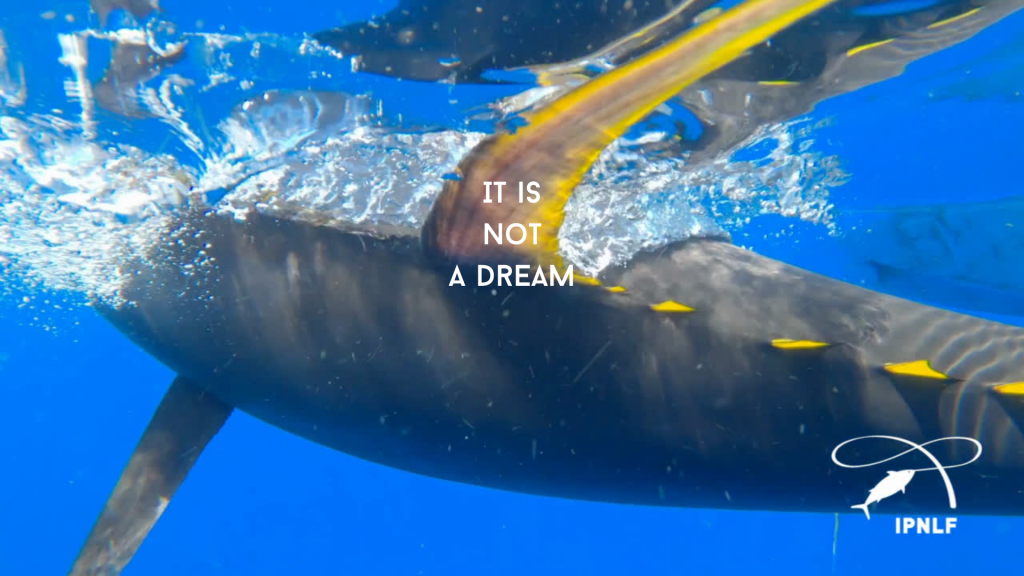 Bountiful oceans and thriving fishing communities: It’s not a dream – it’s a vision.