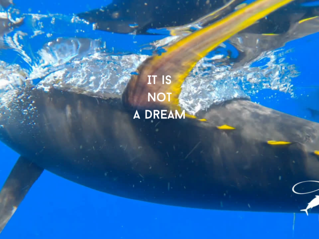 Bountiful oceans and thriving fishing communities: It’s not a dream – it’s a vision.