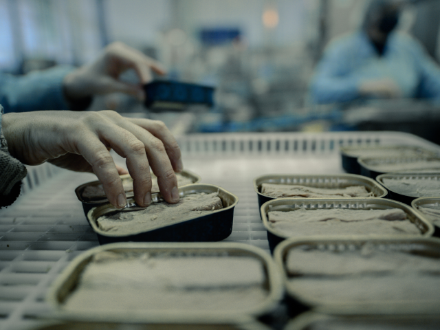 Women Leaders in Seafood : These Women Steer Responsible Tuna Supply Chains