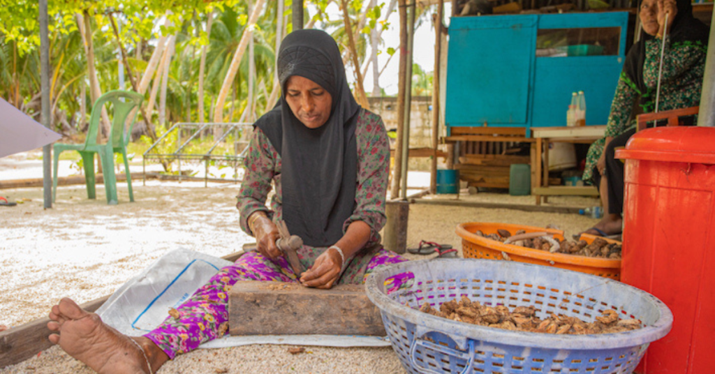 INFOFISH Article II 4/2024 Fish Bytes: Gender Equality and Equity — How IPNLF-Maldives helps women fish processors turn fish into money