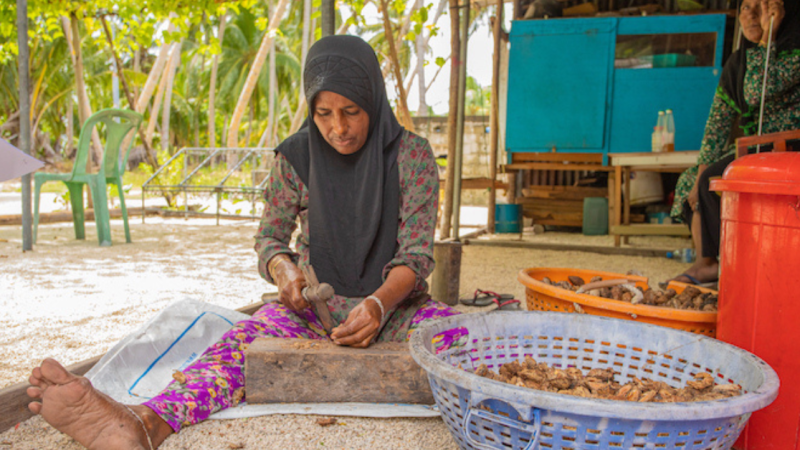 INFOFISH Article II 4/2024 Fish Bytes: Gender Equality and Equity — How IPNLF-Maldives helps women fish processors turn fish into money
