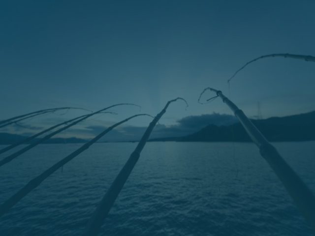 Think tank: designing the one-by-one fleet of the future