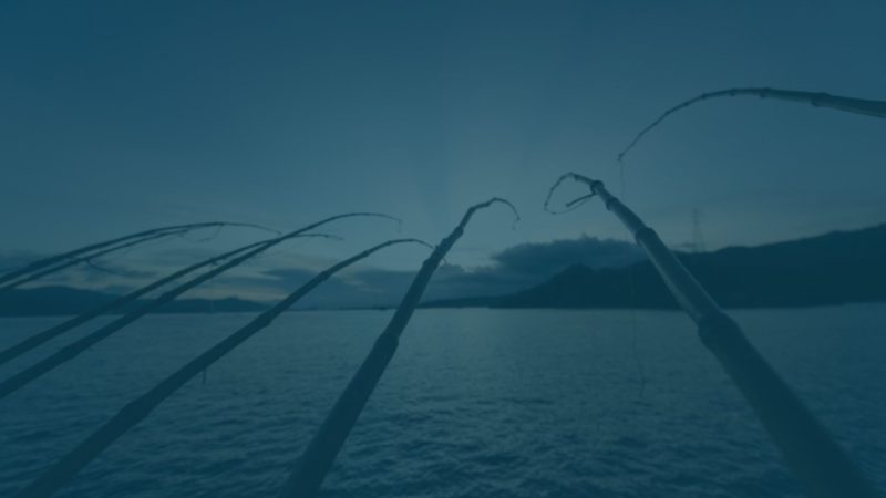 Think tank: designing the one-by-one fleet of the future