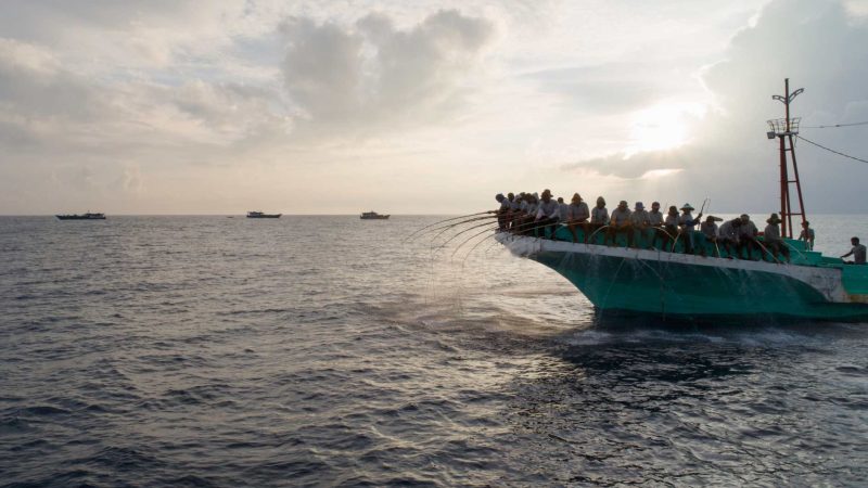 Strengthening the social foundation of sustainable tuna management