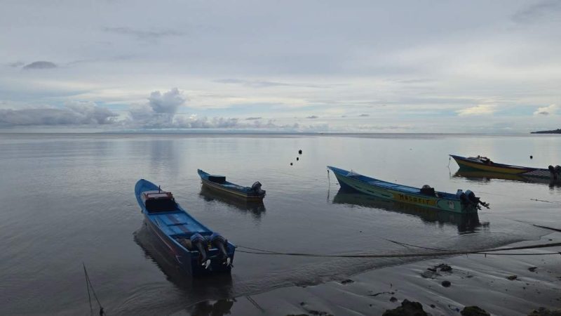 How solar-powered tracker devices are boosting traceability and safety at sea